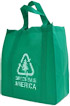 green bag